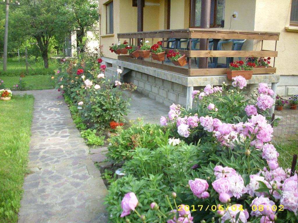 Villa Рибарица Экстерьер фото