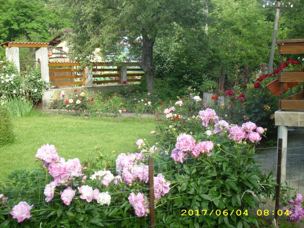 Villa Рибарица Экстерьер фото