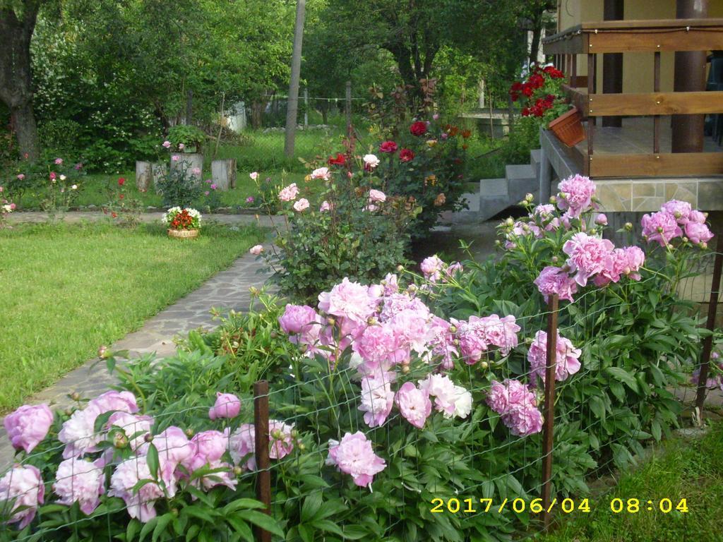 Villa Рибарица Экстерьер фото