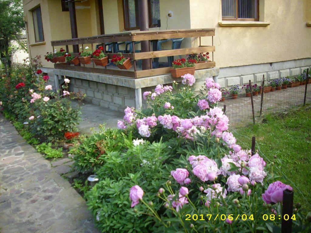 Villa Рибарица Экстерьер фото
