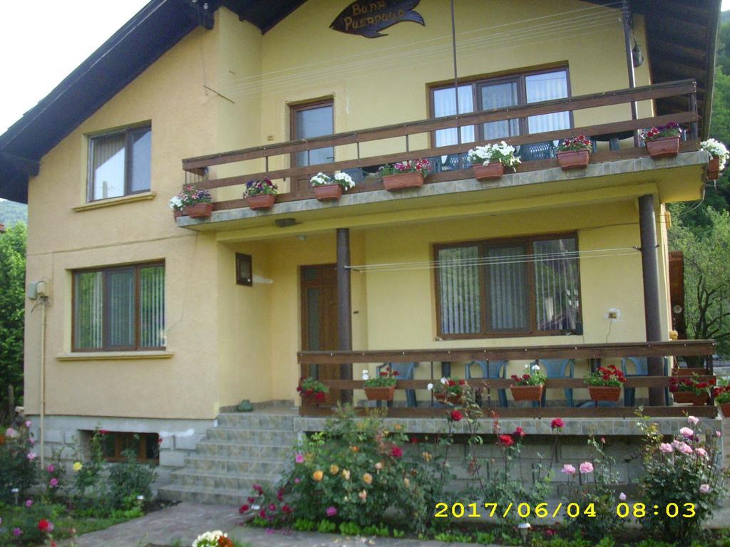 Villa Рибарица Экстерьер фото